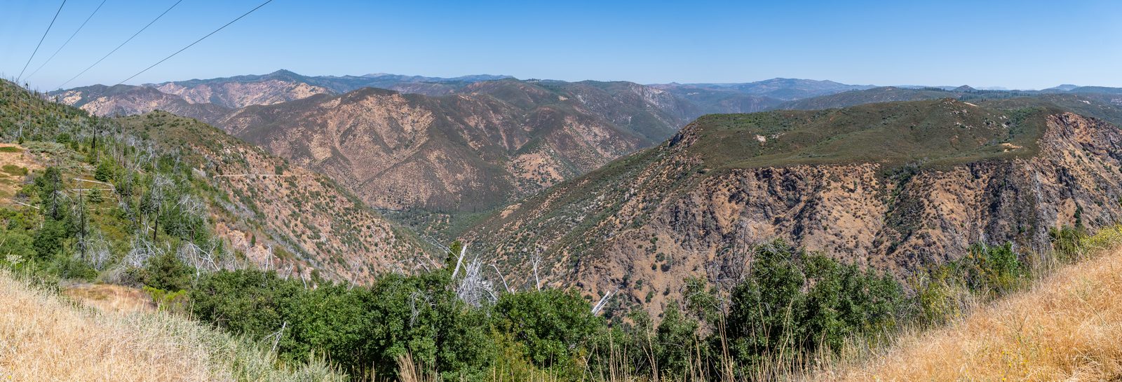 A forested canyon in the Stanislaus National Forest
